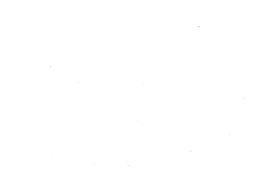 Image 30